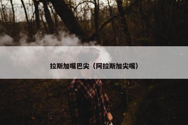 拉斯加嘴巴尖（阿拉斯加尖嘴）