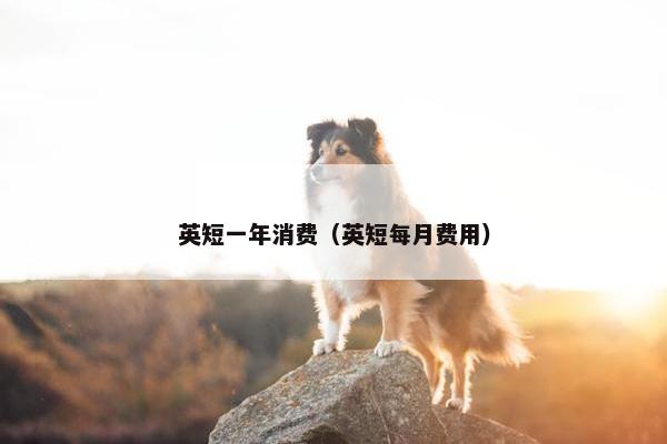 英短一年消费（英短每月费用）