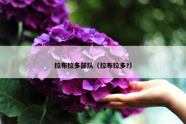 拉布拉多部队（拉布拉多?）