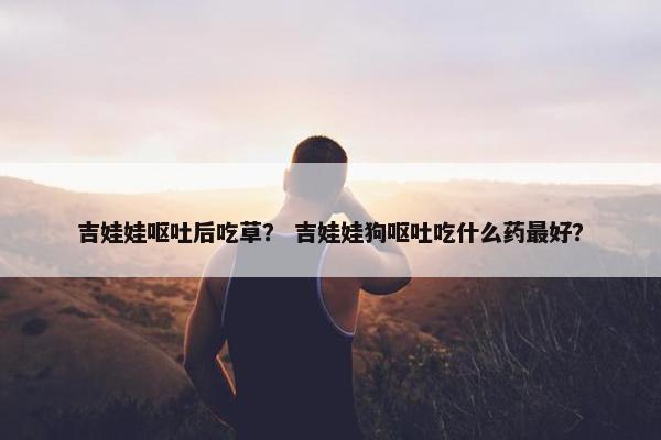 吉娃娃呕吐后吃草？ 吉娃娃狗呕吐吃什么药最好？