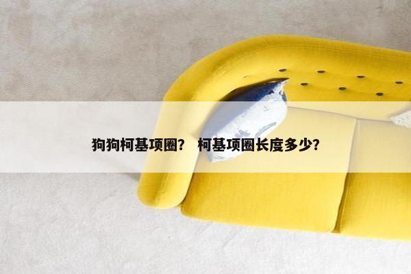 狗狗柯基项圈？ 柯基项圈长度多少？
