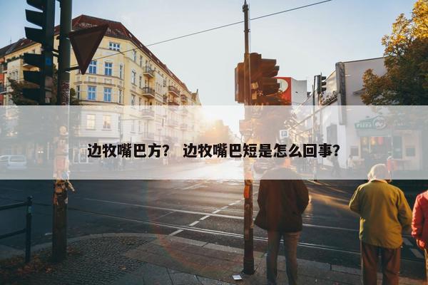 边牧嘴巴方？ 边牧嘴巴短是怎么回事？