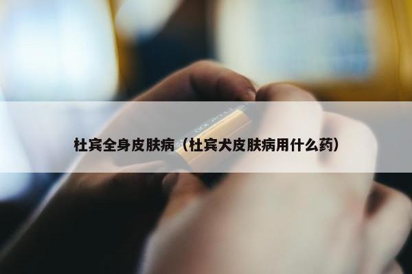 杜宾全身皮肤病（杜宾犬皮肤病用什么药）