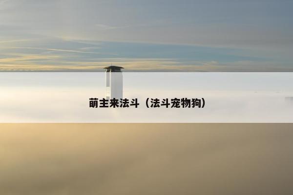 萌主来法斗（法斗宠物狗）