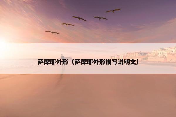萨摩耶外形（萨摩耶外形描写说明文）