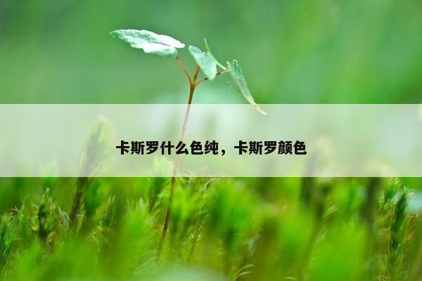 卡斯罗什么色纯，卡斯罗颜色