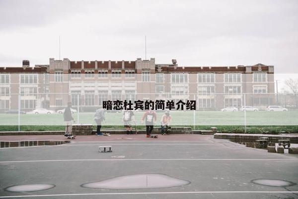 暗恋杜宾的简单介绍