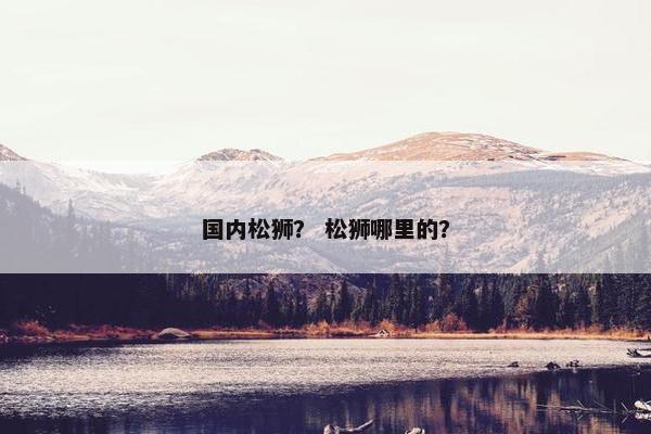 国内松狮？ 松狮哪里的？