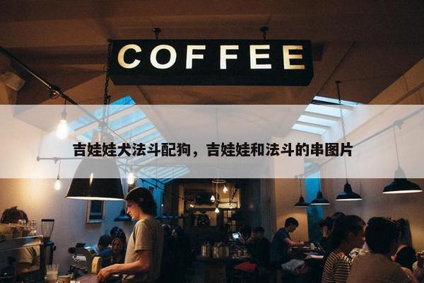 吉娃娃犬法斗配狗，吉娃娃和法斗的串图片