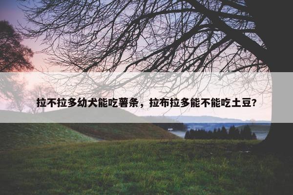 拉不拉多幼犬能吃薯条，拉布拉多能不能吃土豆?