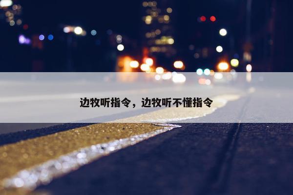 边牧听指令，边牧听不懂指令