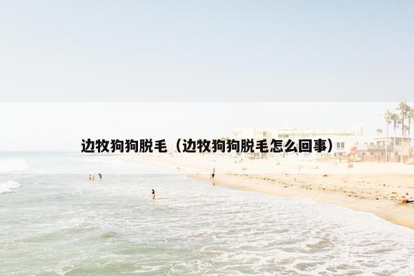 边牧狗狗脱毛（边牧狗狗脱毛怎么回事）
