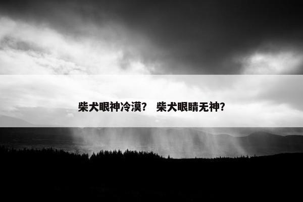 柴犬眼神冷漠？ 柴犬眼睛无神？