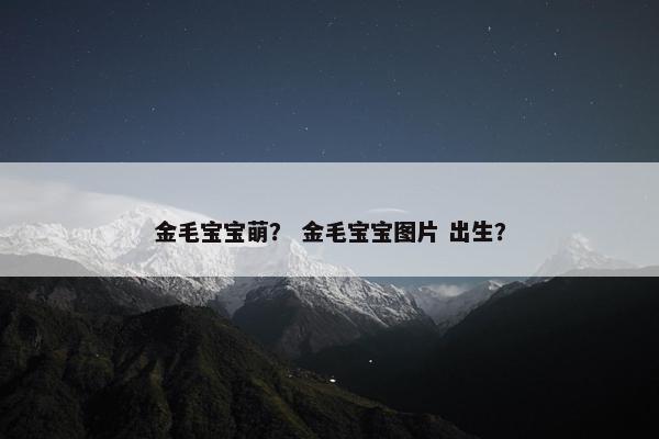 金毛宝宝萌？ 金毛宝宝图片 出生？