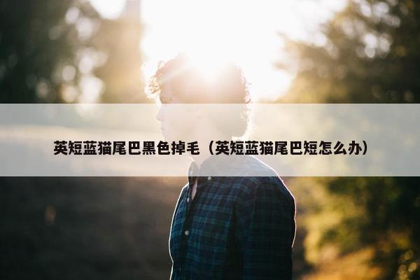 英短蓝猫尾巴黑色掉毛（英短蓝猫尾巴短怎么办）