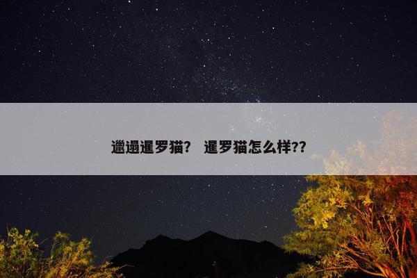 邋遢暹罗猫？ 暹罗猫怎么样?？