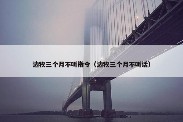 边牧三个月不听指令（边牧三个月不听话）