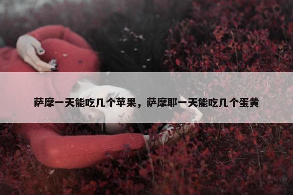 萨摩一天能吃几个苹果，萨摩耶一天能吃几个蛋黄