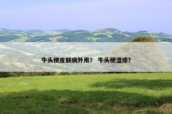 牛头梗皮肤病外用？ 牛头梗湿疹？
