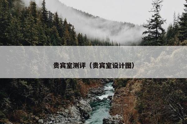 贵宾室测评（贵宾室设计图）