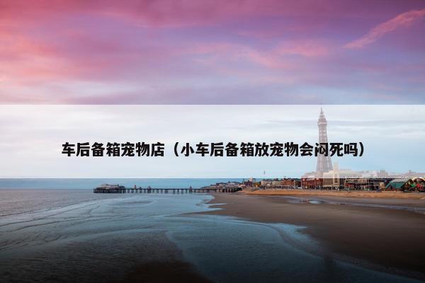 车后备箱宠物店（小车后备箱放宠物会闷死吗）