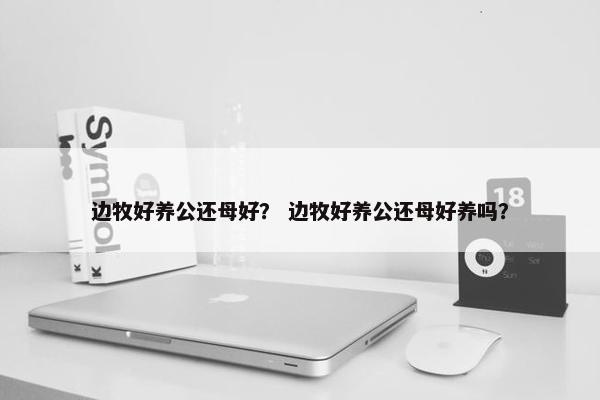 边牧好养公还母好？ 边牧好养公还母好养吗？