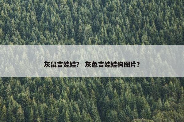 灰鼠吉娃娃？ 灰色吉娃娃狗图片？