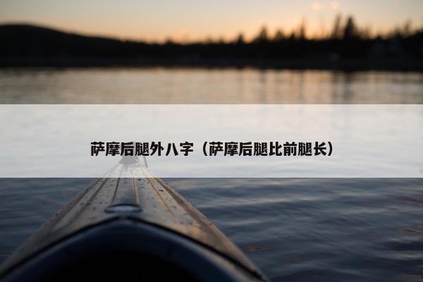 萨摩后腿外八字（萨摩后腿比前腿长）