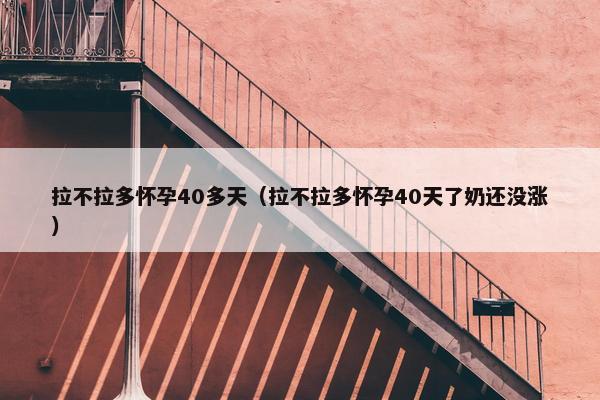 拉不拉多怀孕40多天（拉不拉多怀孕40天了奶还没涨）
