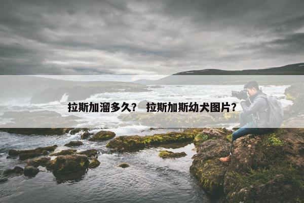 拉斯加溜多久？ 拉斯加斯幼犬图片？