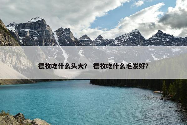 德牧吃什么头大？ 德牧吃什么毛发好？