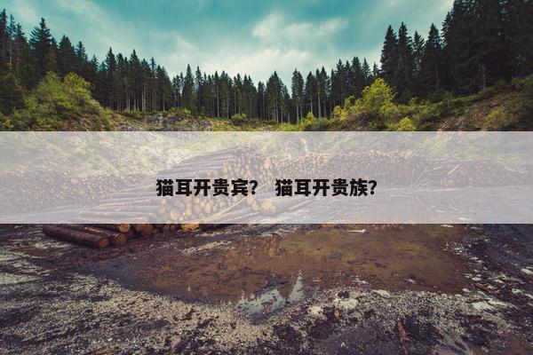 猫耳开贵宾？ 猫耳开贵族？