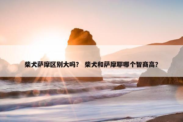 柴犬萨摩区别大吗？ 柴犬和萨摩耶哪个智商高？