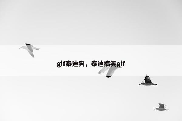 gif泰迪狗，泰迪搞笑gif