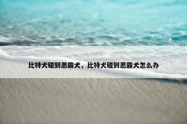 比特犬碰到恶霸犬，比特犬碰到恶霸犬怎么办