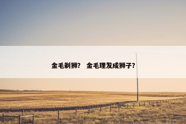 金毛剃狮？ 金毛理发成狮子？