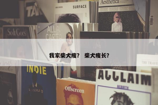 我家柴犬瘦？ 柴犬瘦长？