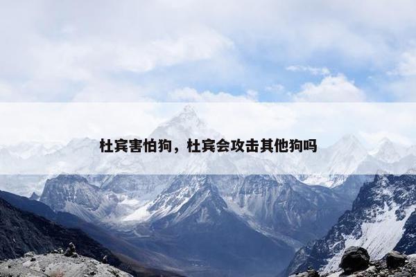 杜宾害怕狗，杜宾会攻击其他狗吗