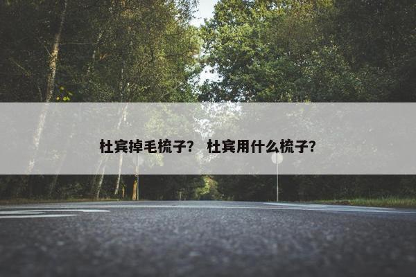 杜宾掉毛梳子？ 杜宾用什么梳子？