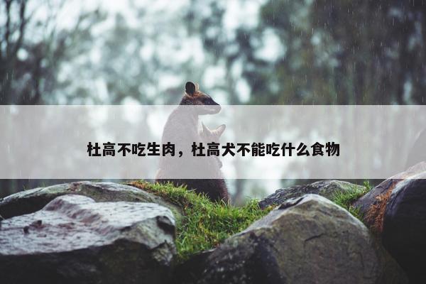杜高不吃生肉，杜高犬不能吃什么食物