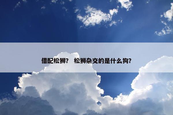 借配松狮？ 松狮杂交的是什么狗？