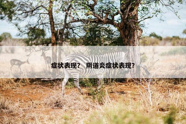 症状表现？ 阴道炎症状表现？