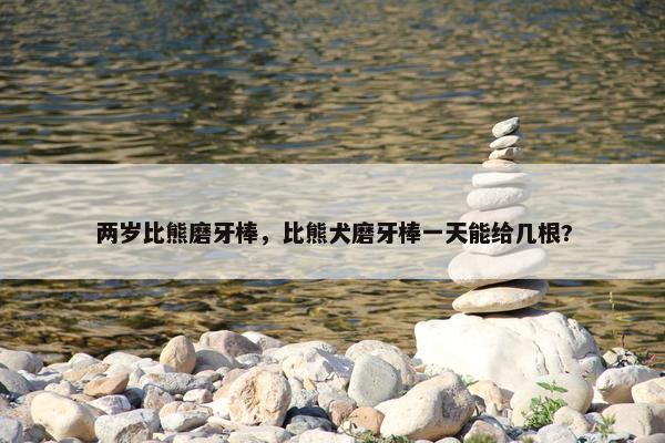 两岁比熊磨牙棒，比熊犬磨牙棒一天能给几根?