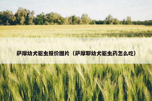 萨摩幼犬驱虫报价图片（萨摩耶幼犬驱虫药怎么吃）