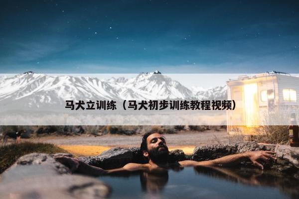 马犬立训练（马犬初步训练教程视频）