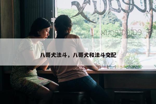 八哥犬法斗，八哥犬和法斗交配