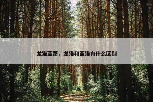 龙猫蓝萧，龙猫和蓝猫有什么区别
