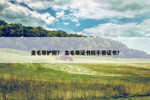 金毛带护照？ 金毛带证书和不带证书？
