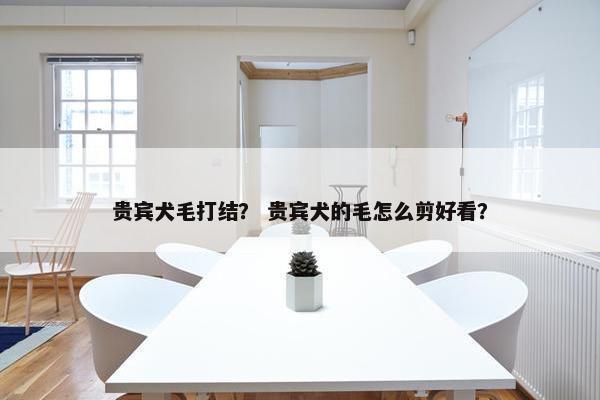 贵宾犬毛打结？ 贵宾犬的毛怎么剪好看？