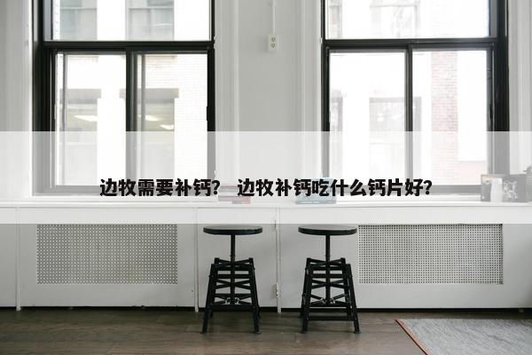 边牧需要补钙？ 边牧补钙吃什么钙片好？